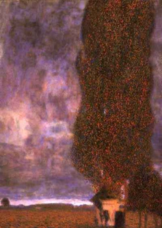 1903_large poplar02(thunderstorm get up).jpg